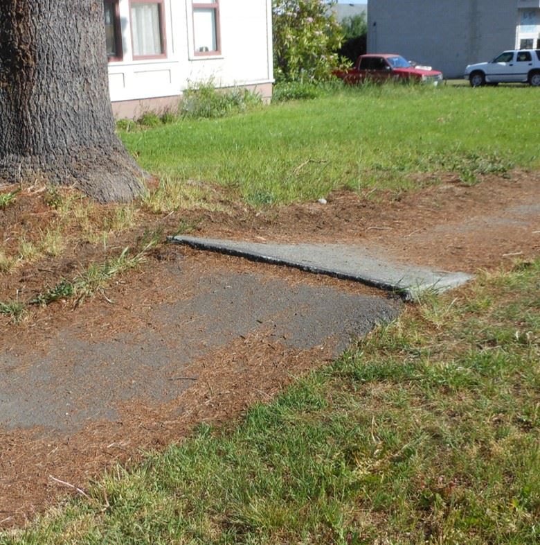 Image - Buckled sidewalk