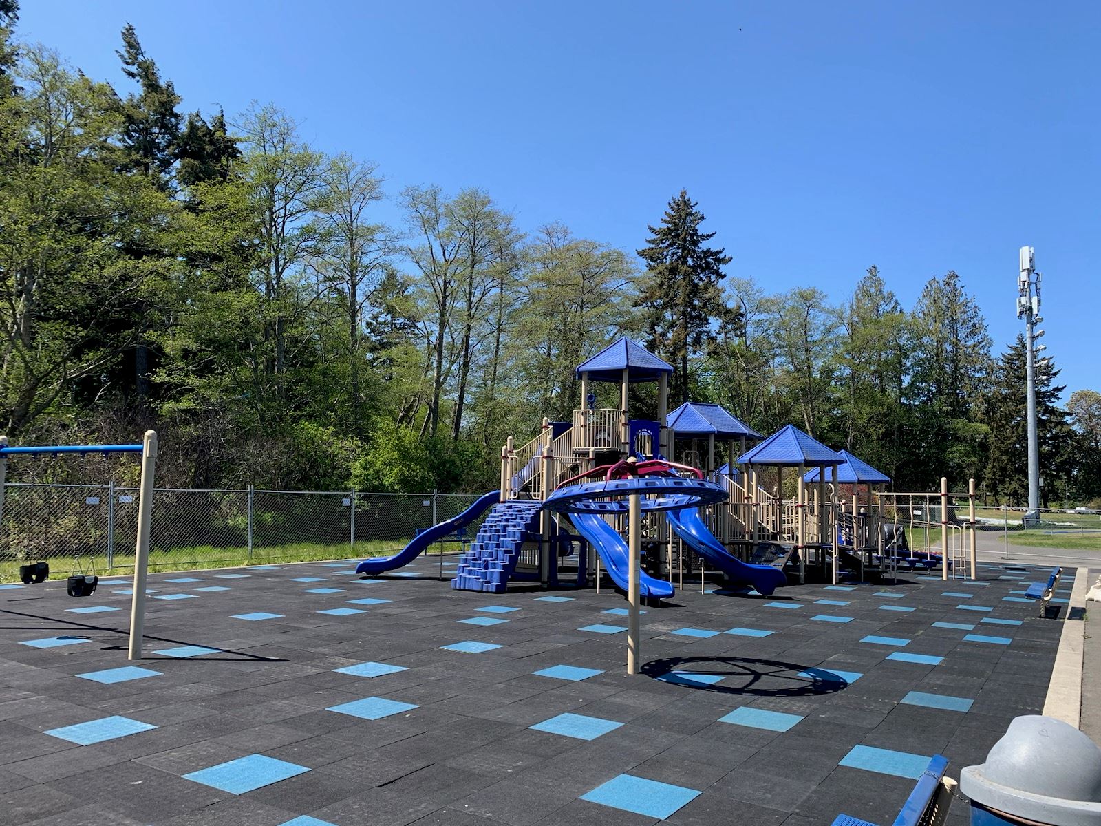 Shane Park Playground