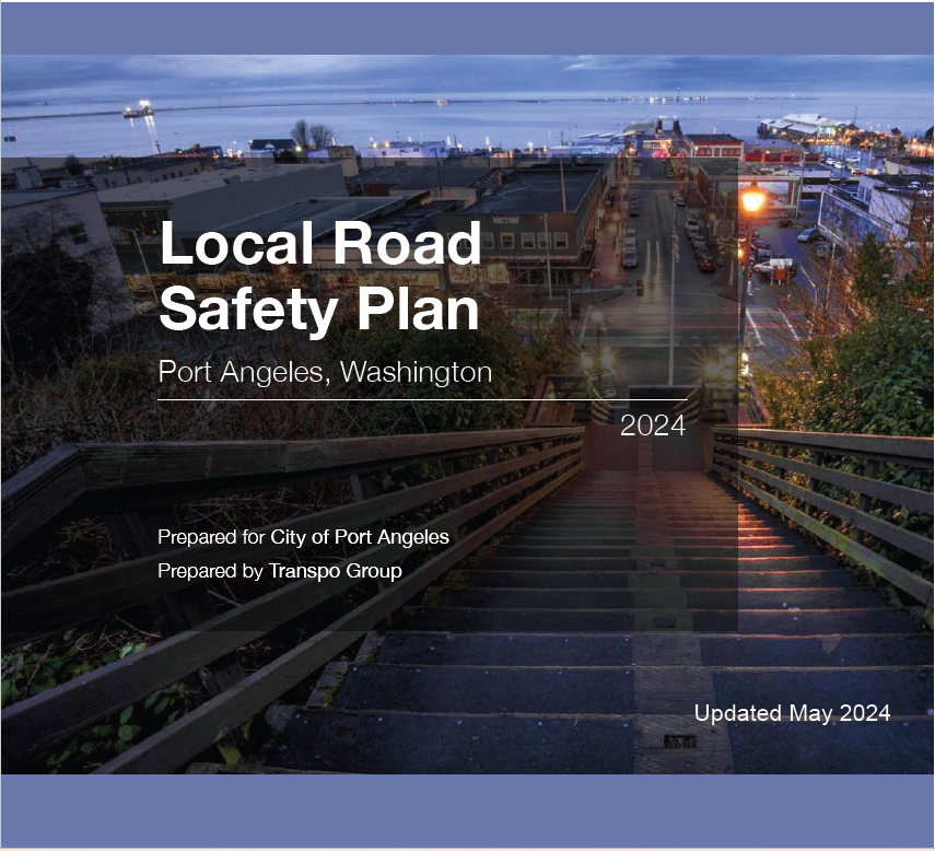 Local Road Safety Plan Image