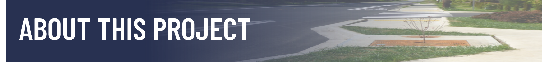 Banner - About this project