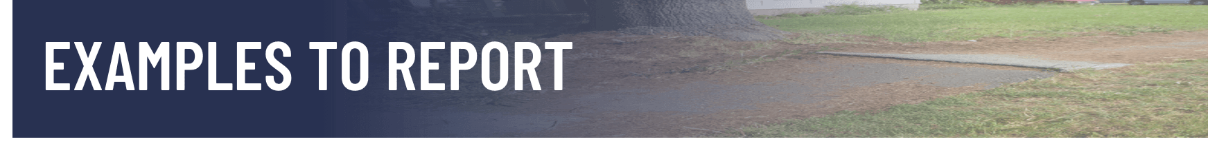 Banner - Examples to Report