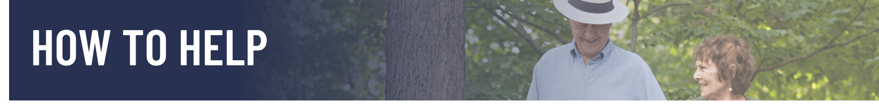 Banner - How to Help