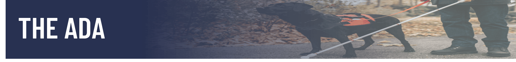 Banner - The ADA